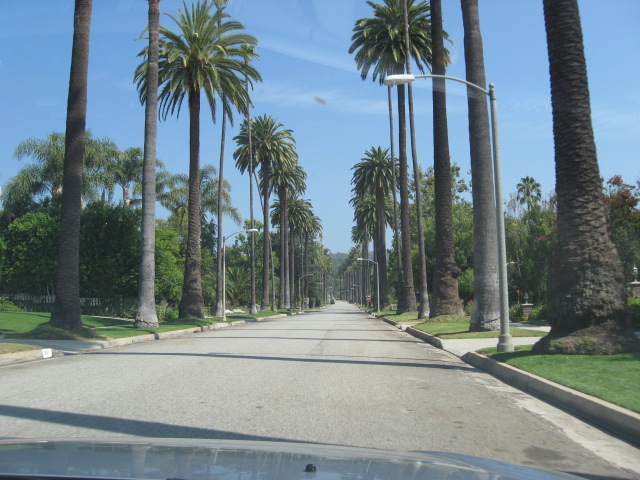 617x456 pixels (126K)